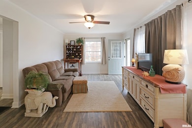 810 N Benedict St, Chillicothe, IL 61523 - photo 3