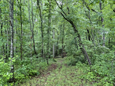 0 Burgess Loop unit RTC2389168, Crossville, TN 38572 - photo 2