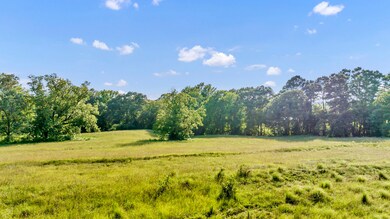 363 Private Road 3399, Big Sandy, TX 75755 - photo 6