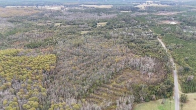 651 NW Flowers Rd, Madison, FL 32340 - photo 3