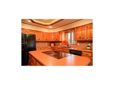 Large Island with Smooth Cooktop and So Much Count