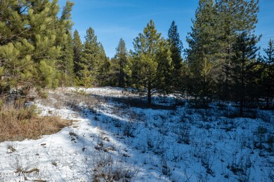 NWLL Hoodoo_Lot 1-04
