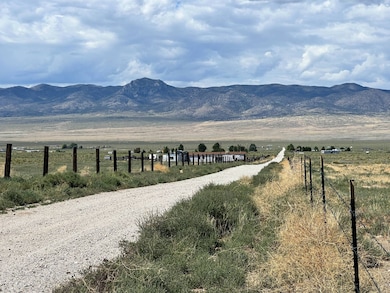 APN 011-11j-014, Wells, NV 89835 - photo 4