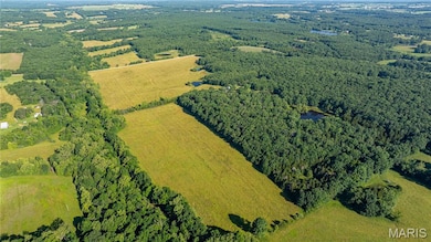 Overview of rural landscape featuring a forest