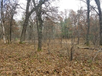 VL Par 2 W 8th St, Baldwin, MI 49304 - photo 4