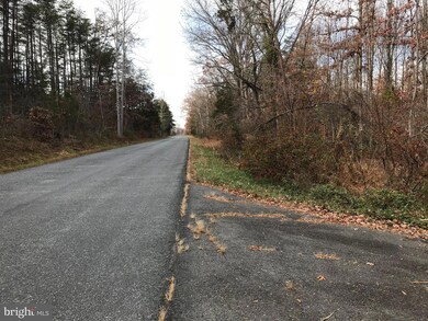 LOT 32A Orange Springs Rd, Unionville, VA 22567 - photo 4