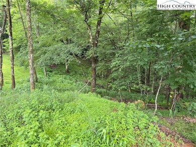 TBD Lots 11-12-13 Elliott Cir, Blowing Rock, NC 28605 - photo 7