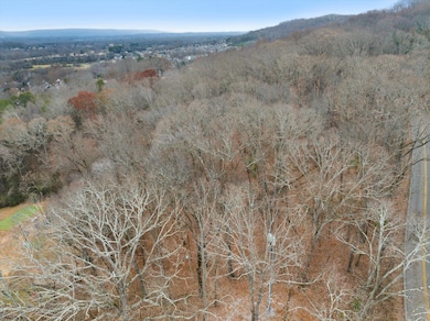 0 Hamill Rd unit RTC2969382, Chattanooga, TN 37343 - photo 3