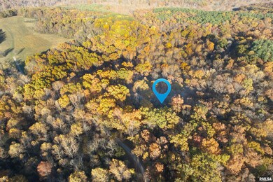 1924 Suchman Rd, Ava, IL 62907 - photo 2