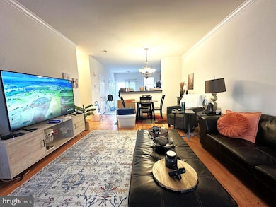 25145 Shultz Terrace, Chantilly, VA 20152 - photo 3