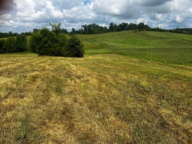 IMG_6933