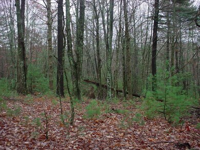 Wooded View