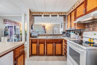 36905 Beth Ave, Zephyrhills, FL 33542 - photo 6