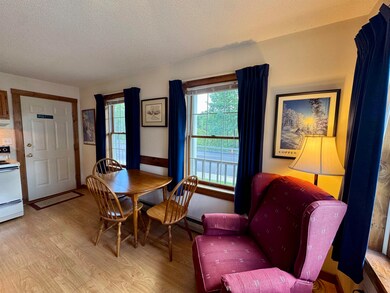 30 Pond St unit 8, Ludlow, VT 05149 - photo 7