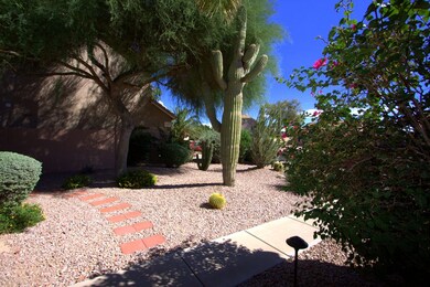 front_yard_3353
