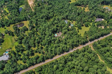 9203 Woodlane Blvd, Magnolia, TX 77354 - photo 3