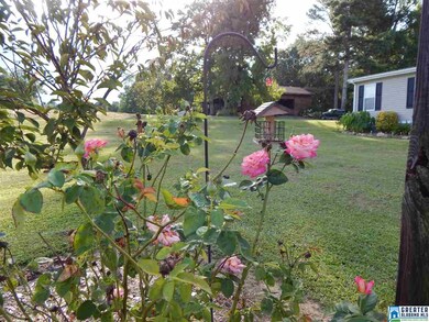 2893 Pine Mountain Rd, Remlap, AL 35133 - photo 4