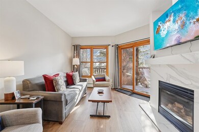 Hidden River Hideaway Lodge unit 5971, Dillon, CO 80435 - photo 3