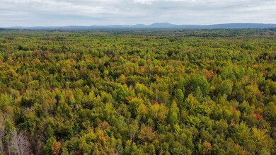 Lot 26 Wolf Run Trail, Greenbush, ME 04418 - photo 2