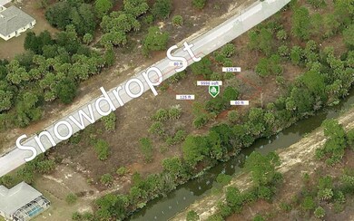 Aerial View with dimensions