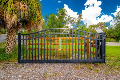 Electronic Gate
