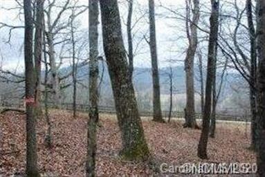 44 Deep Creek Trail unit 43, Arden, NC 28704 - photo 5