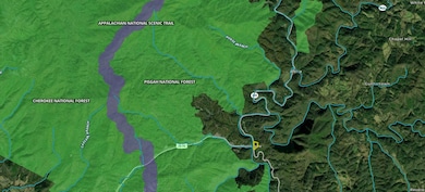 Lot 78 Bear River Lodge Trail, Marshall, NC 28753 - photo 5