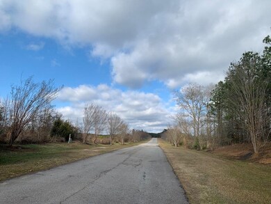 1107 Watersedge Cove, Tignall, GA 30668 - photo 4