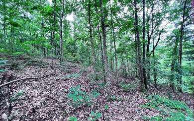 Additional View