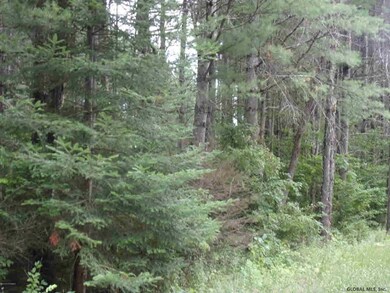 232 Potter Brook Rd, Warrensburg, NY 12885 - photo 7