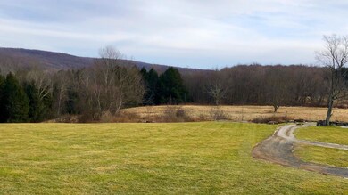 207 Joe Lick Rd unit L2A, Scott Township, PA 18447 - photo 6