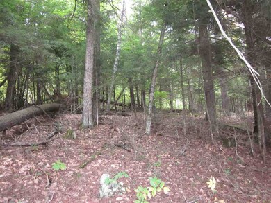 0 Perch Pond Rd unit 4517350, Lisbon, NH 03585 - photo 5