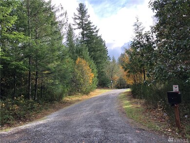 0 Bald Hills Rd SE unit 1686239, Yelm, WA 98989 - photo 7