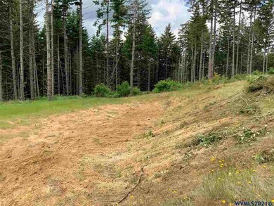 0 Swordfern Ridge Rd unit 778065, Blodgett, OR 97326 - photo 5