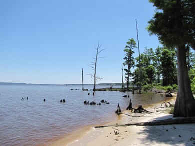Waterfront