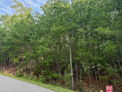 Lot 10 Shadow Wood Dr unit 10, Glencoe, AL 35905 - photo 6