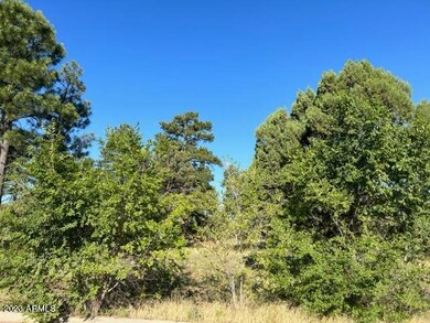 600 S Reynolds Ln unit 51, Show Low, AZ 85901 - photo 5