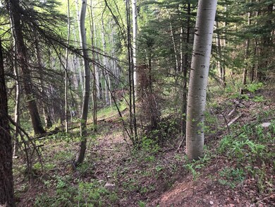 Near Designated Homesite