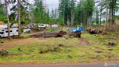 151 W Buck Prairie Rd, Elma, WA 98541 - photo 6