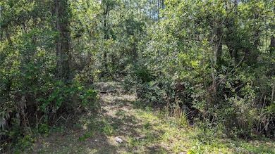 00 NE 108th Place, Waldo, FL 32694 - photo 5