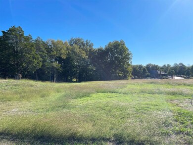 Lot 461 Canal St, Corsicana, TX 75109 - photo 4