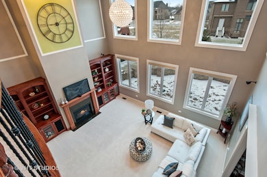 1976 Saddle Farm Ln, Naperville, IL 60564 - photo 5