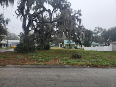 795 W Vine St, Bartow, FL 33830 - photo 4