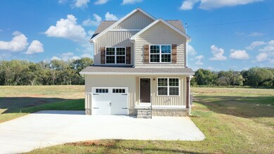 212 Coney Island Rd, Shelbyville, TN 37160 - photo 4