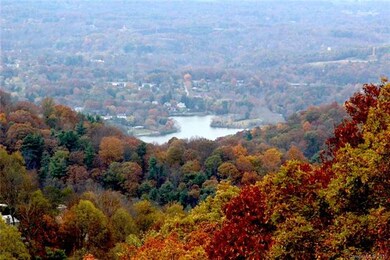 You can even see Beaver Lake in North Asheville fr
