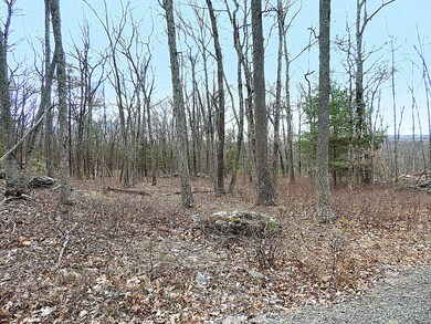 Lot #108 Blue Heron Way, Hawley, PA 18428 - photo 5