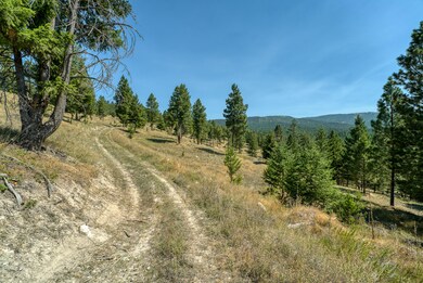 575 Springhill Rd, Kila, MT 59920 - photo 4