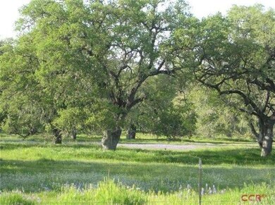 Oak trees on Northside of Lynch Cyn Rd