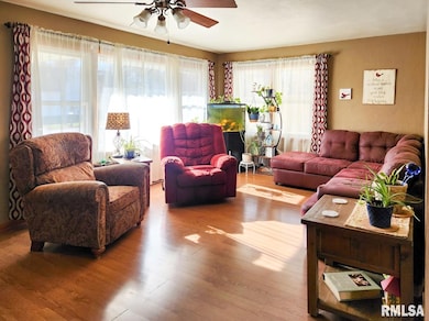 211 E Turner Ave, Toulon, IL 61483 - photo 2