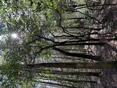 15 Thomas Springs Rd, Crossville, TN 38572 - photo 4